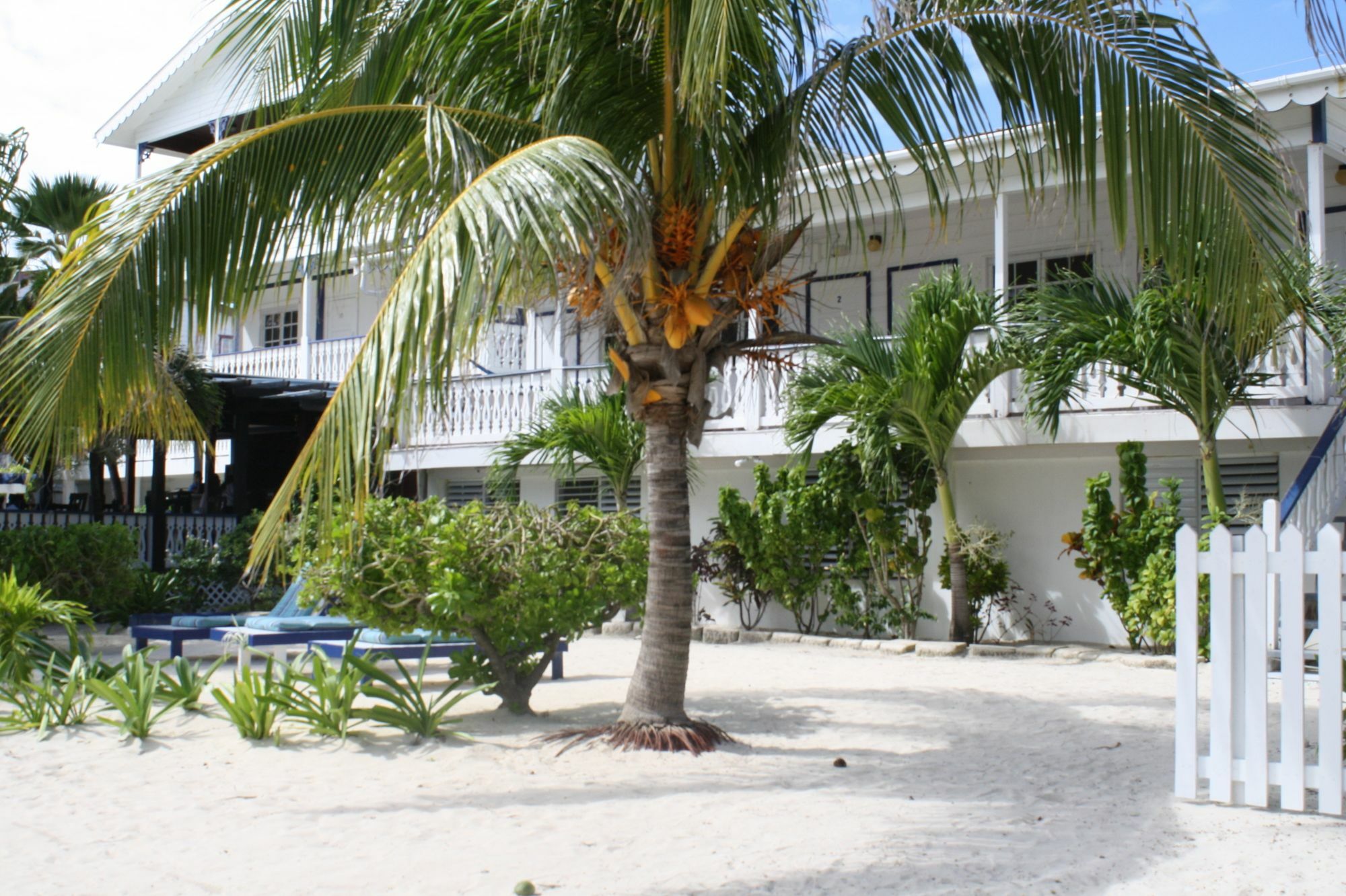 סן פדרו Holiday Hotel מראה חיצוני תמונה
